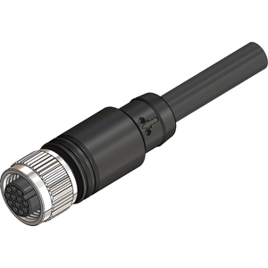 M12 Female Straight 12 Pin Connector